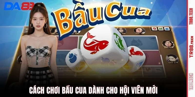 Cách chơi Bầu cua dành cho hội viên mới