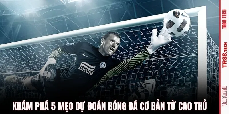 Khám phá 5 mẹo dự đoán bóng đá cơ bản từ cao thủ