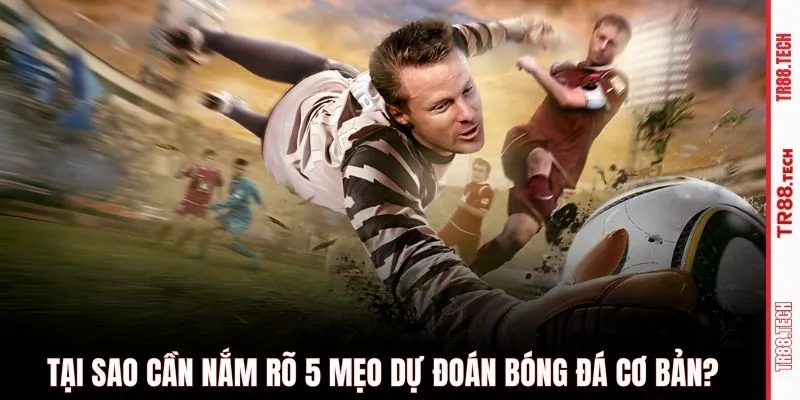 Tại sao cần nắm rõ 5 mẹo dự đoán bóng đá cơ bản?